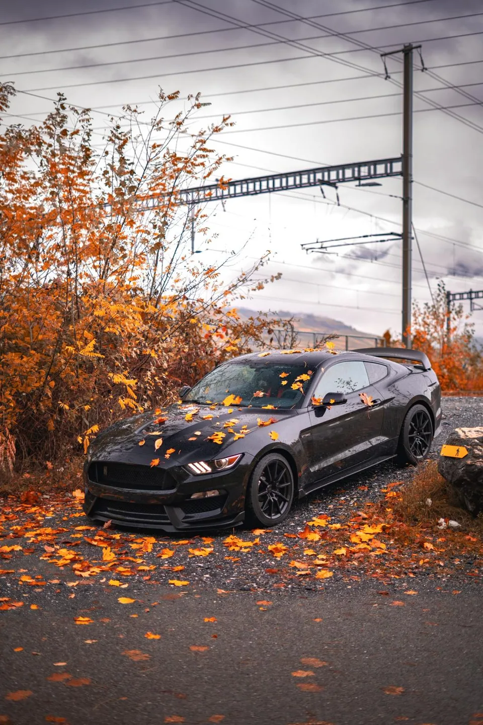 Ford Mustang Shelby GT350 noire à l'arrêt sous les feuillages d'automne