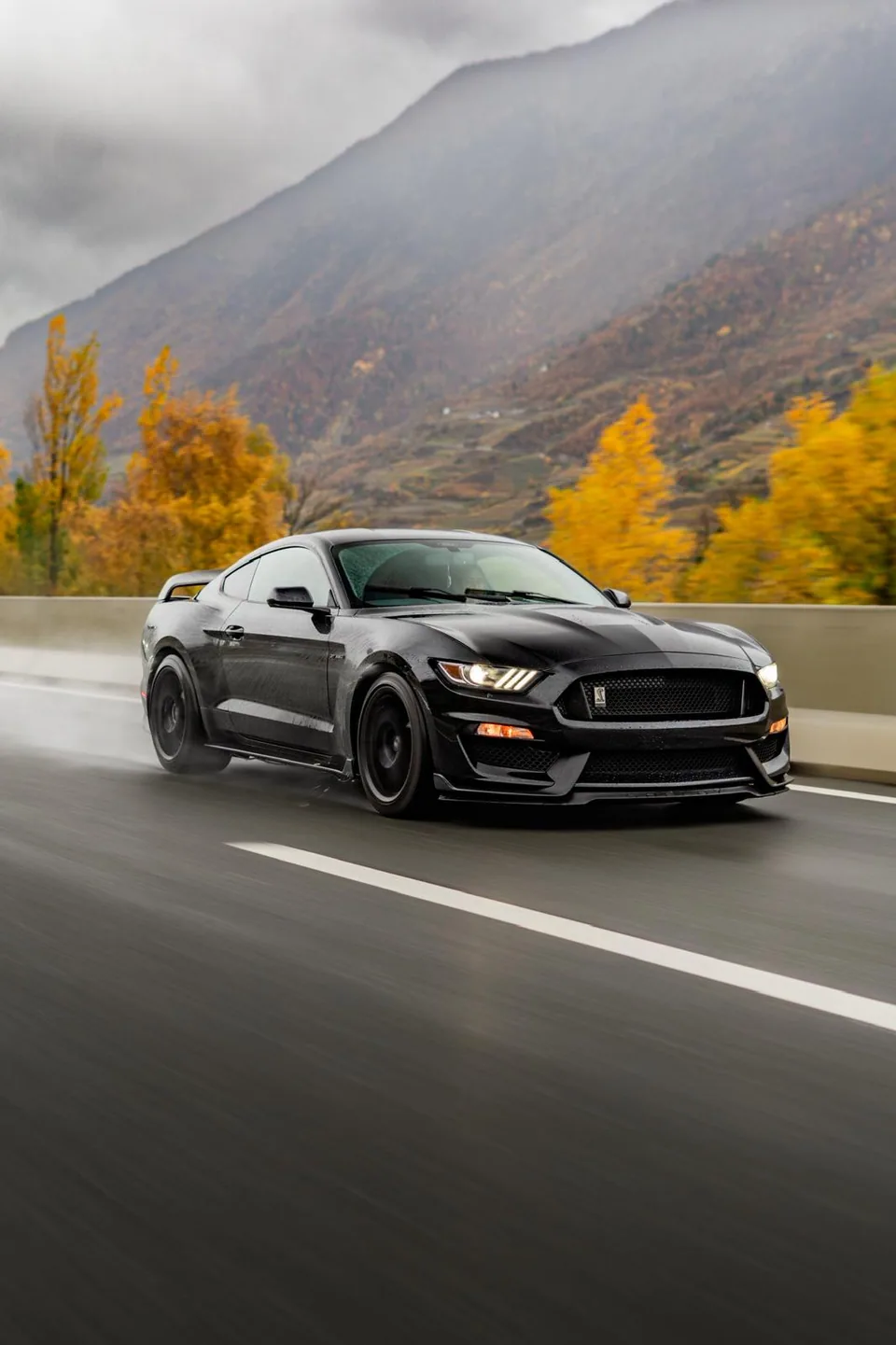 Ford Mustang Shelby GT350 noire en roulage sur route de montagne, forêt d'automne en arrière-plan